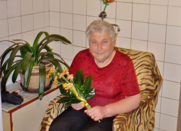 V. Štěrbová